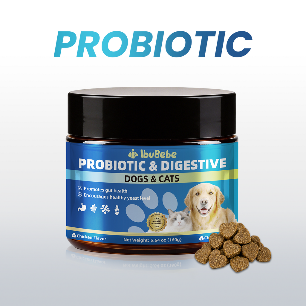 Probiotics for Dogs & Cats Soft Chews | Gut Health, Digestive Support & Healthy Yeast Balance Supplement, Chicken Flavor, 160g prebiotics