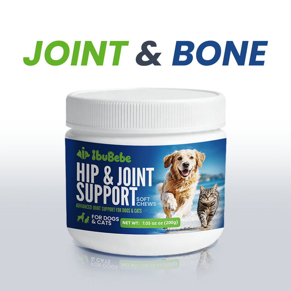 Hip & Joint Supplement for Dogs & Cats | Glucosamine, Chondroitin, UC-II Collagen & Green-Lipped Mussel for Joint Mobility Support, 100 Soft Chews senior