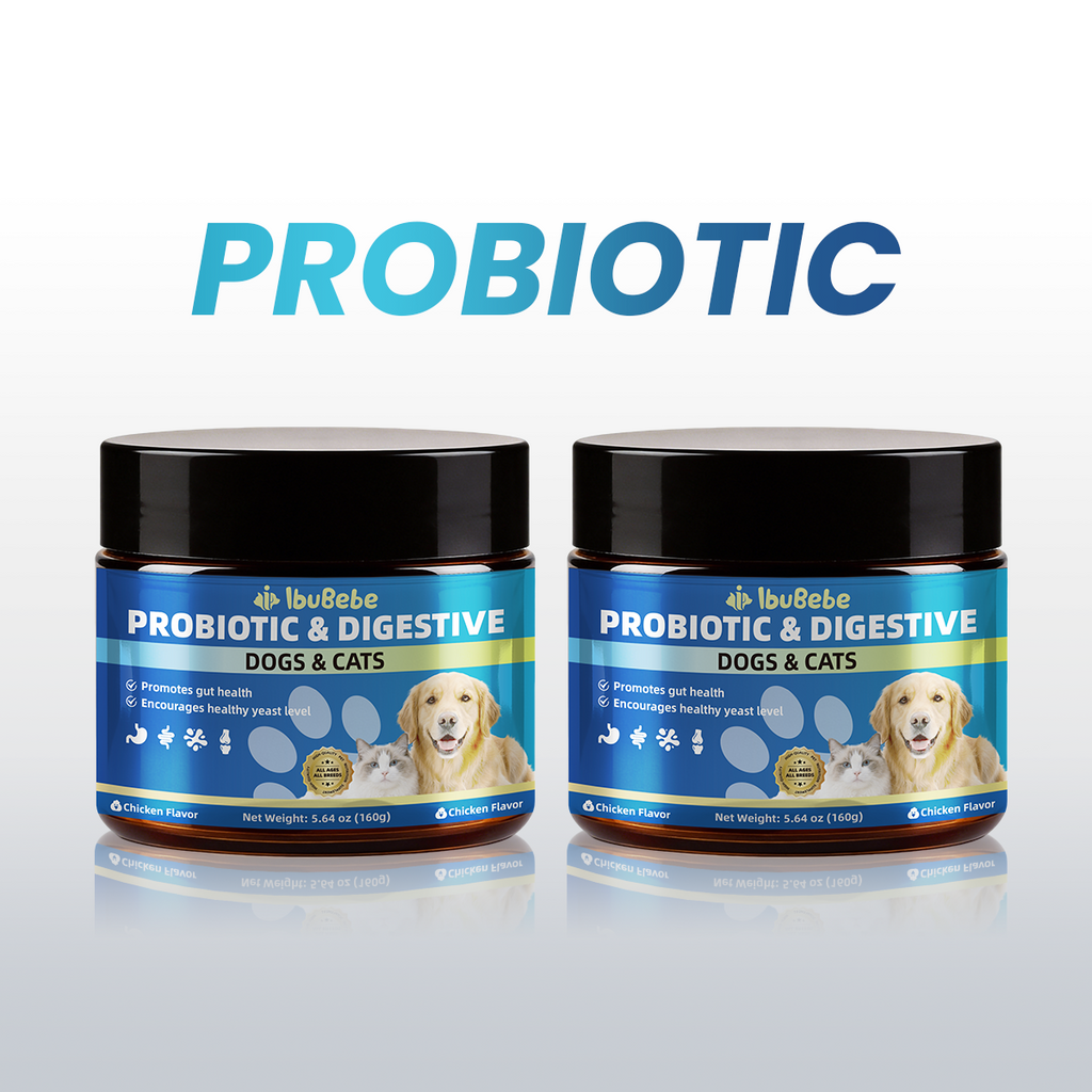 Probiotics for Dogs & Cats Soft Chews | Gut Health, Digestive Support & Healthy Yeast Balance Supplement, Chicken Flavor, 160g prebiotics