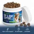 Hip & Joint Supplement for Dogs & Cats | Glucosamine, Chondroitin, UC-II Collagen & Green-Lipped Mussel for Joint Mobility Support, 100 Soft Chews senior