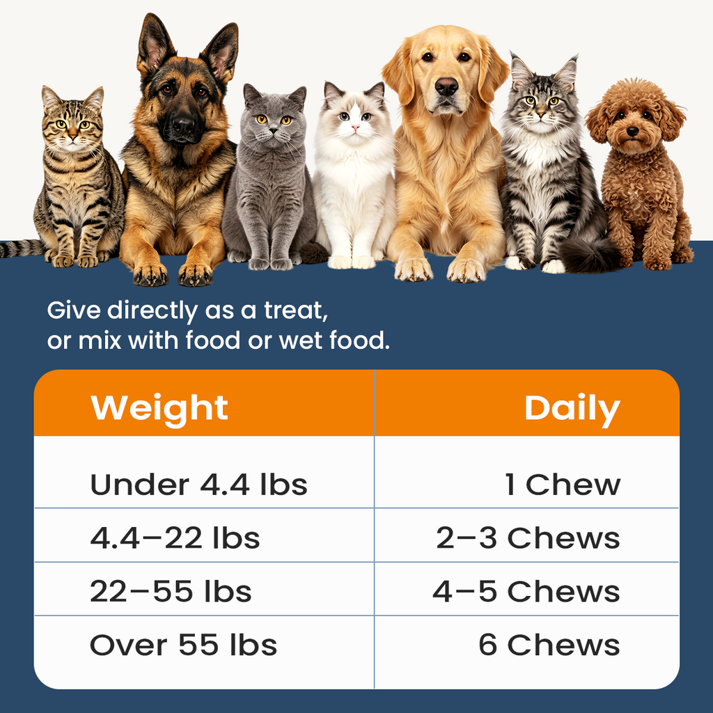 Hip & Joint Supplement for Dogs & Cats | Glucosamine, Chondroitin, UC-II Collagen & Green-Lipped Mussel for Joint Mobility Support, 100 Soft Chews senior