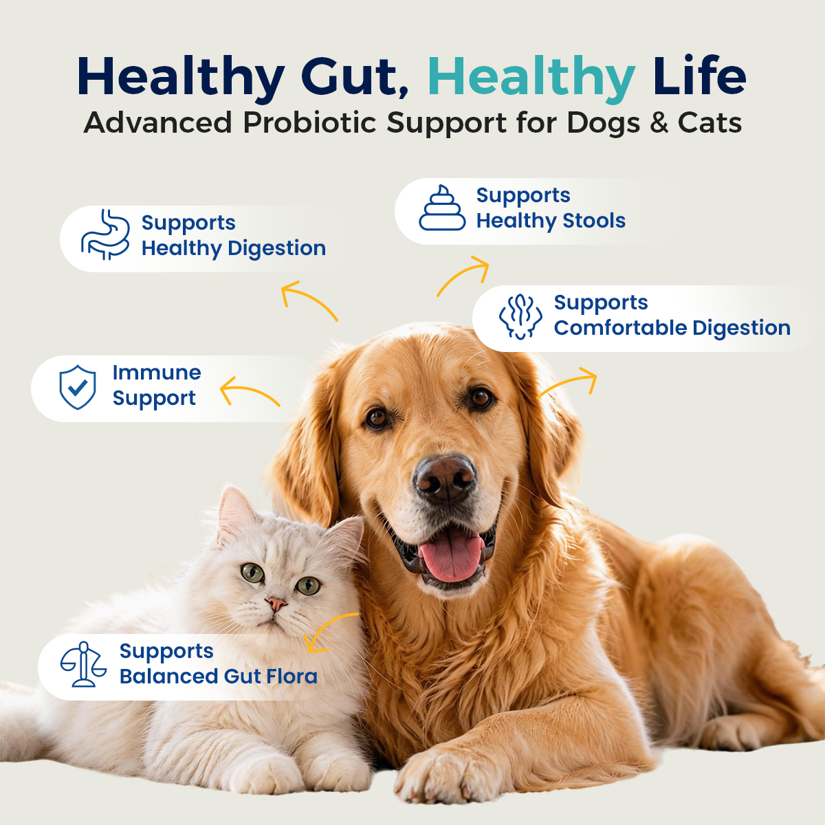 Probiotics for Dogs & Cats Soft Chews | Gut Health, Digestive Support & Healthy Yeast Balance Supplement, Chicken Flavor, 160g prebiotics