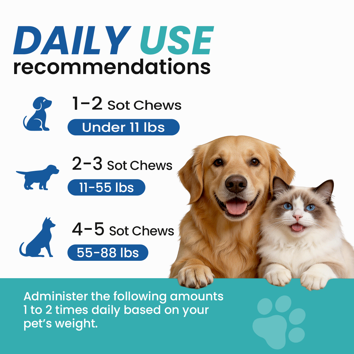 Probiotics for Dogs & Cats Soft Chews | Gut Health, Digestive Support & Healthy Yeast Balance Supplement, Chicken Flavor, 160g prebiotics